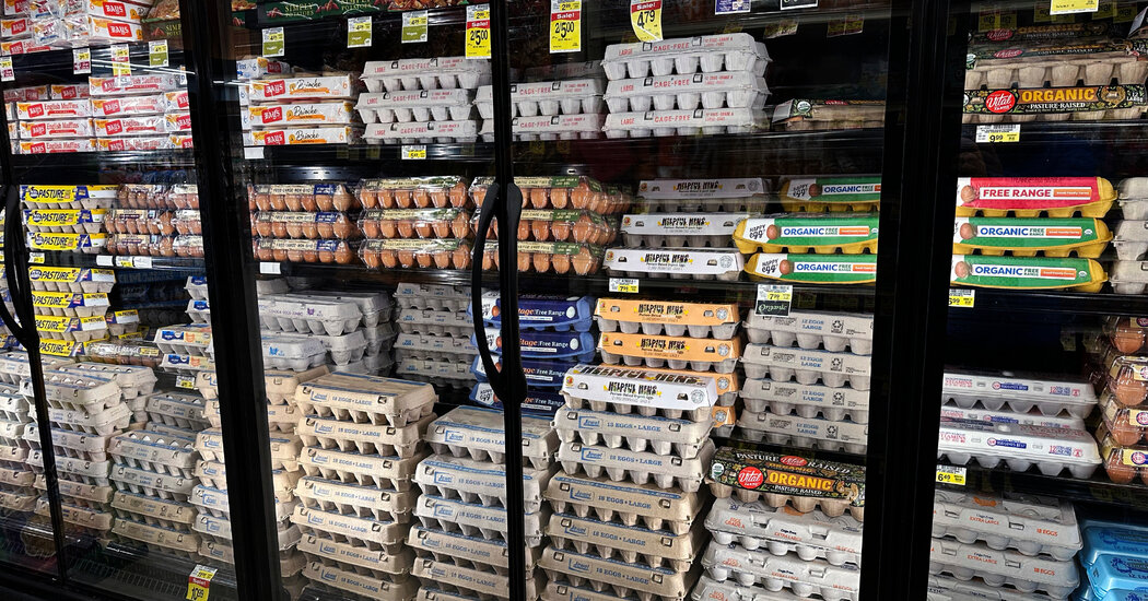 Egg Prices Plummet Impacting Farmers More Than Consumers Instantly Interpret Free: Legalese Decoder - AI Lawyer Translate Legal docs to plain English