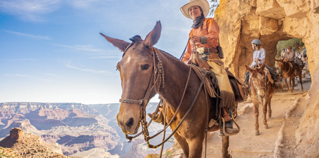 Experience the Grand Canyon Mule Ride Safety Tips from Lisa Instantly Interpret Free: Legalese Decoder - AI Lawyer Translate Legal docs to plain English