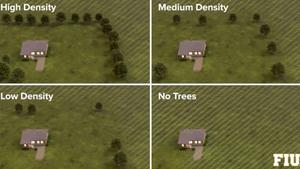 How Trees Provide Natural Protection for Homes During Storms Instantly Interpret Free: Legalese Decoder - AI Lawyer Translate Legal docs to plain English
