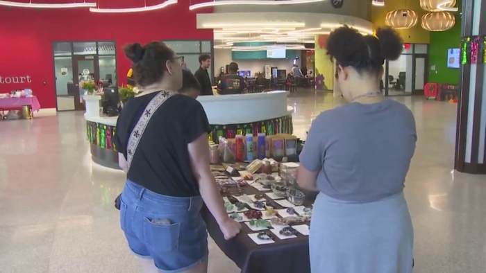 Juneteenth Expo Highlights Small Businesses and Community Ties Instantly Interpret Free: Legalese Decoder - AI Lawyer Translate Legal docs to plain English