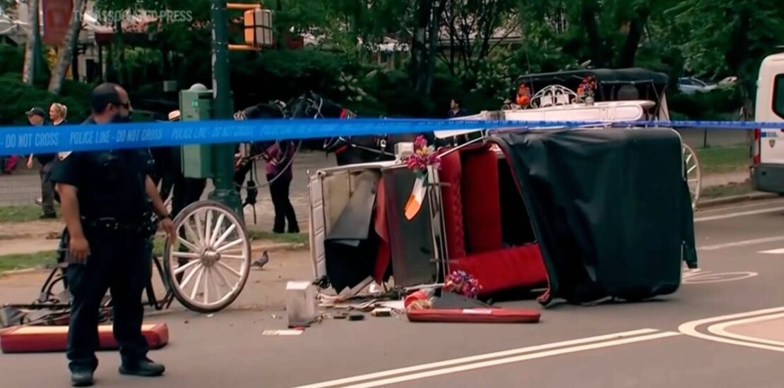 Leaders Call for Ban on Horse Carriage Industry After Tragic Instantly Interpret Free: Legalese Decoder - AI Lawyer Translate Legal docs to plain English