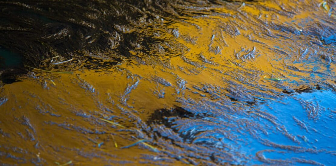 PEMEX Claims No Oil Spill Occurred at Bahia La Ventosa Instantly Interpret Free: Legalese Decoder - AI Lawyer Translate Legal docs to plain English