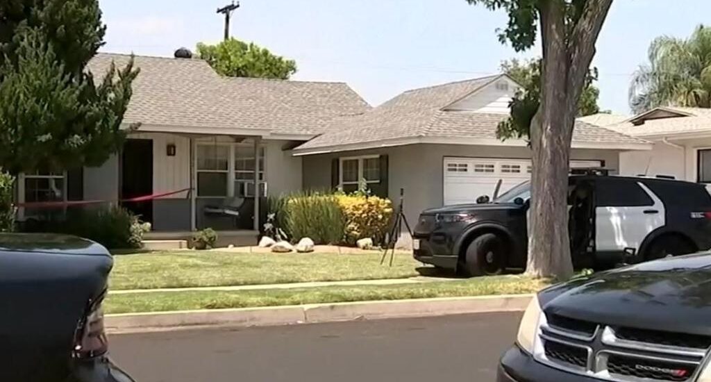 Son of James Handys Girlfriend Arrested in Actors Stabbing Death Instantly Interpret Free: Legalese Decoder - AI Lawyer Translate Legal docs to plain English