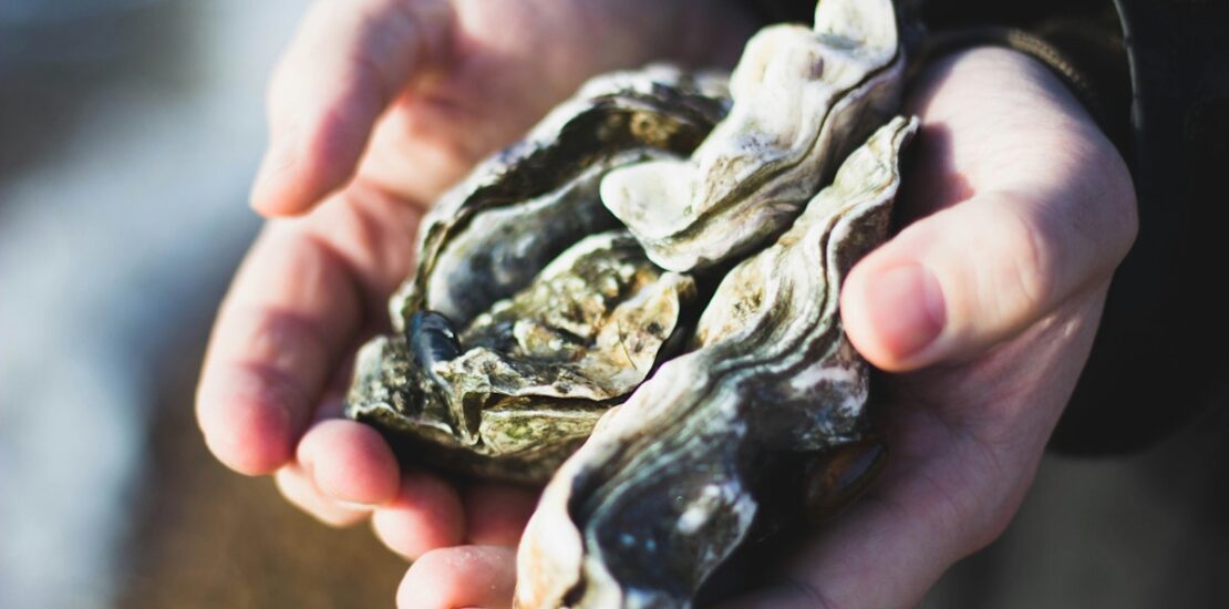 Super Oyster Initiative Tackles Climate Change in Hong Kong Instantly Interpret Free: Legalese Decoder - AI Lawyer Translate Legal docs to plain English