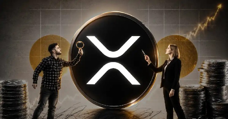XRPs Price Surge to 150–300 Analyst Reveals Key Factors Instantly Interpret Free: Legalese Decoder - AI Lawyer Translate Legal docs to plain English