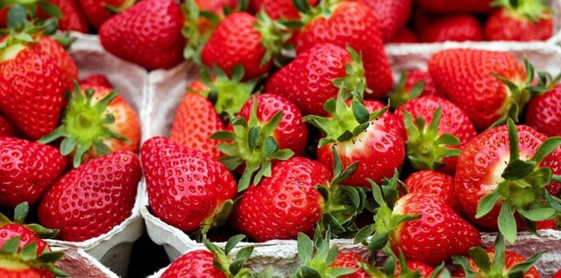 Berry Boom Fuels Growth in Exports Jobs and Agriculture Innovation Instantly Interpret Free: Legalese Decoder - AI Lawyer Translate Legal docs to plain English