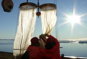 Polarstern Heads to HAUSGARTEN for Arctic Research Instantly Interpret Free: Legalese Decoder - AI Lawyer Translate Legal docs to plain English