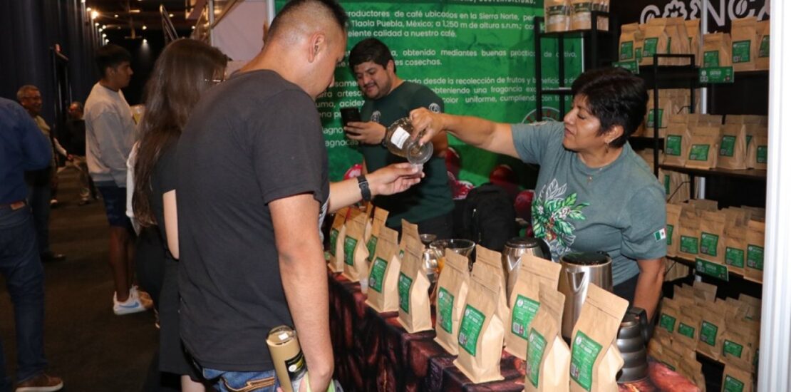 Puebla Takes Charge of Mexicos Coffee Program to Boost Production Instantly Interpret Free: Legalese Decoder - AI Lawyer Translate Legal docs to plain English