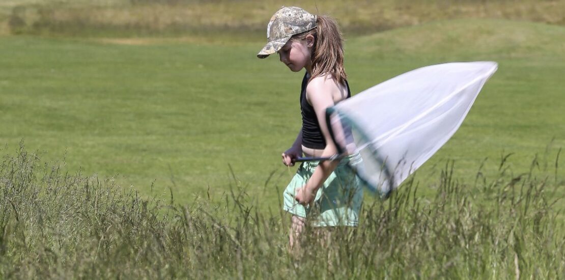 RA Unveils BioBlitz Toolkit to Boost Golf Clubs Biodiversity Efforts Instantly Interpret Free: Legalese Decoder - AI Lawyer Translate Legal docs to plain English
