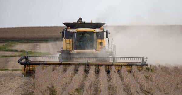 Soybean Farmers Face Uncertainty as China Reopens Its Market Instantly Interpret Free: Legalese Decoder - AI Lawyer Translate Legal docs to plain English