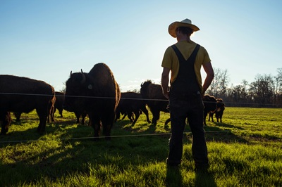USDA and SBA Join Forces to Protect Producers from Regulation Instantly Interpret Free: Legalese Decoder - AI Lawyer Translate Legal docs to plain English
